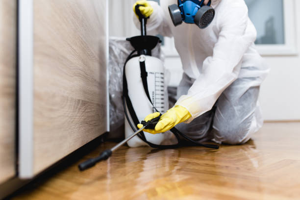 Best Pest Removal Services  in Carlsbad, NM