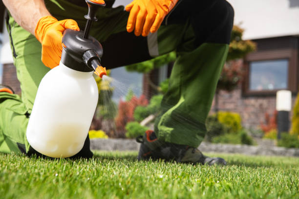 Best Local Pest Control Services  in Carlsbad, NM
