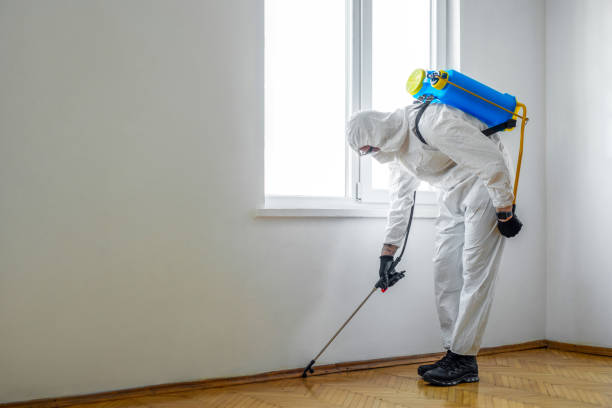 Best Wasp Removal Services  in Carlsbad, NM
