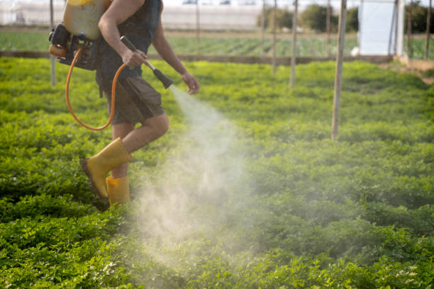 Reliable Carlsbad, NM Pest Control Solutions