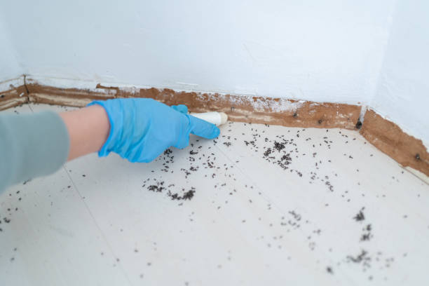 Best Best Pest Control Companies  in Carlsbad, NM