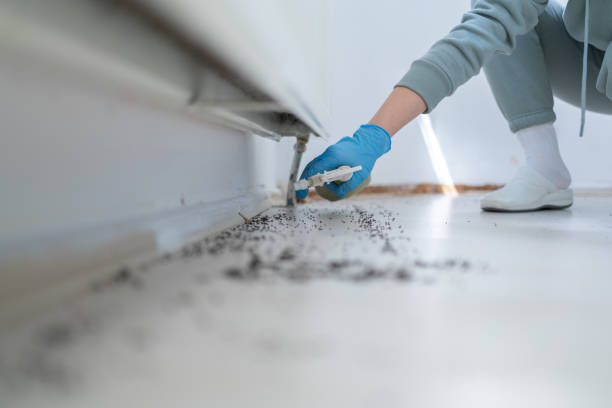 Best Affordable Pest Control Services  in Carlsbad, NM