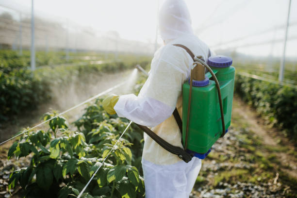 Reliable Carlsbad, NM Pest Control Solutions